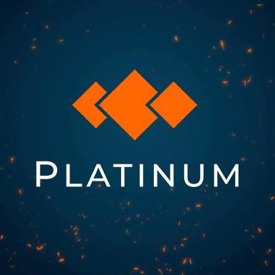 StableCoins by Platinum Q DAO Engineering